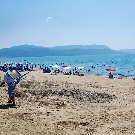 τσόκας Φοινικούντα